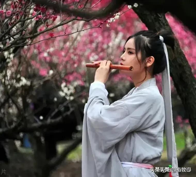 紫石金麟|咏梅七律三十韵②（二叠韵合集）