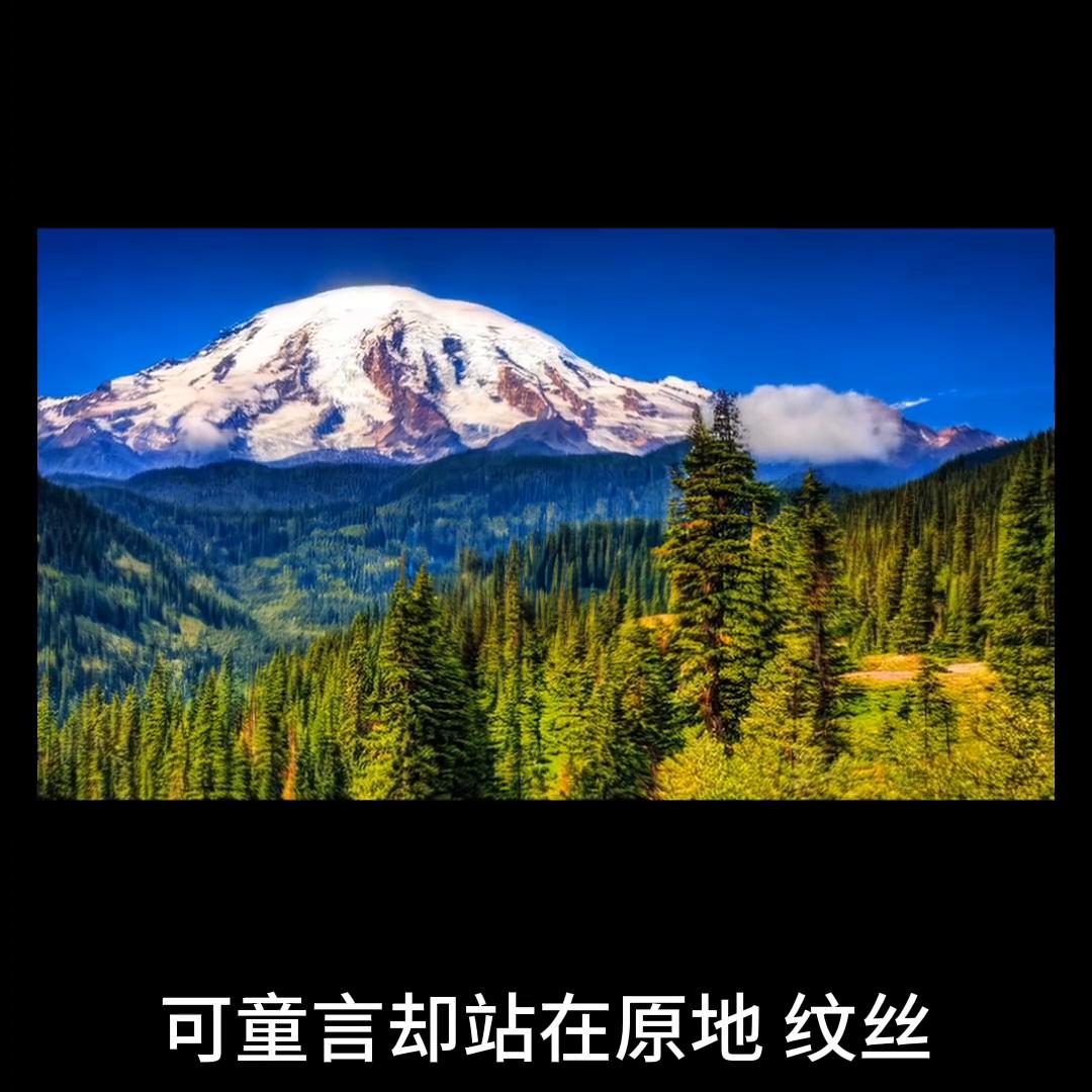 诡道传人蛇从革,诡道传人最新全部章节在线阅读