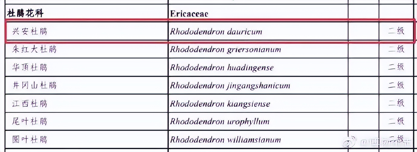 春节不可买哪些东西,春节买年货这些食品不要买