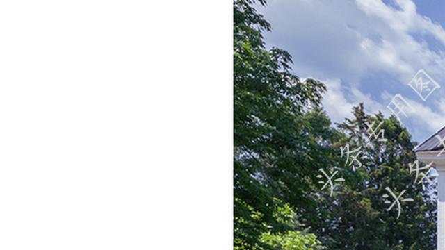 当年堂弟走了个普通院校，被村里人耻笑，八年后他让人刮目相看