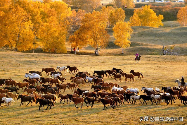 九月去西藏旅游适合吗,湖北九月旅游推荐地方