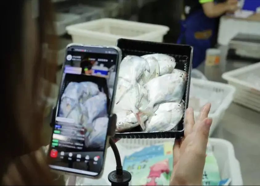 做海鲜直播一年能赚多少钱,返乡创业90后夫妻回家喂牛直播