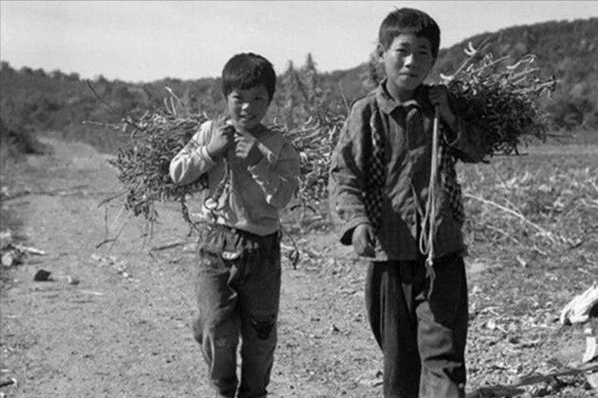 罗军长之死（纪实小小说）