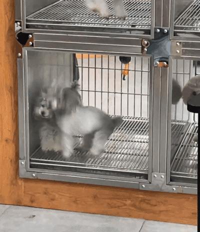 开心搞钱,开心一刻搞笑瞬间