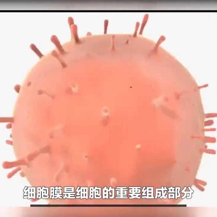 【消焱排污凝胶】抑菌凝胶（I型