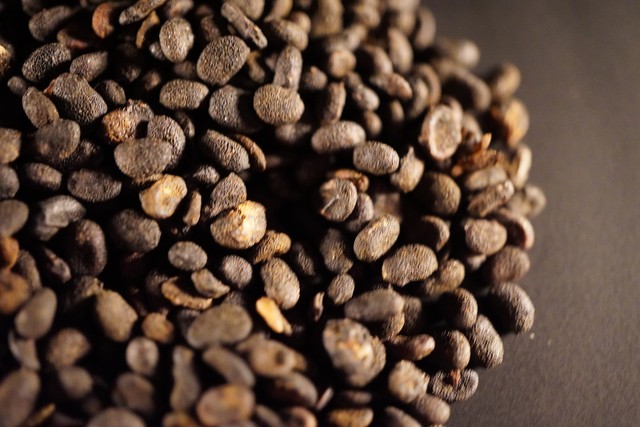 补肾缩尿固精的中药,什么中药可以补肾壮阳还治尿频