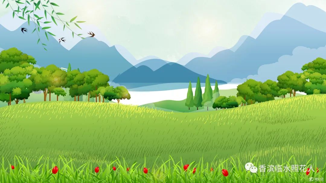 我的家乡英语思维导图怎么画,这儿真美思维导图三年级习作