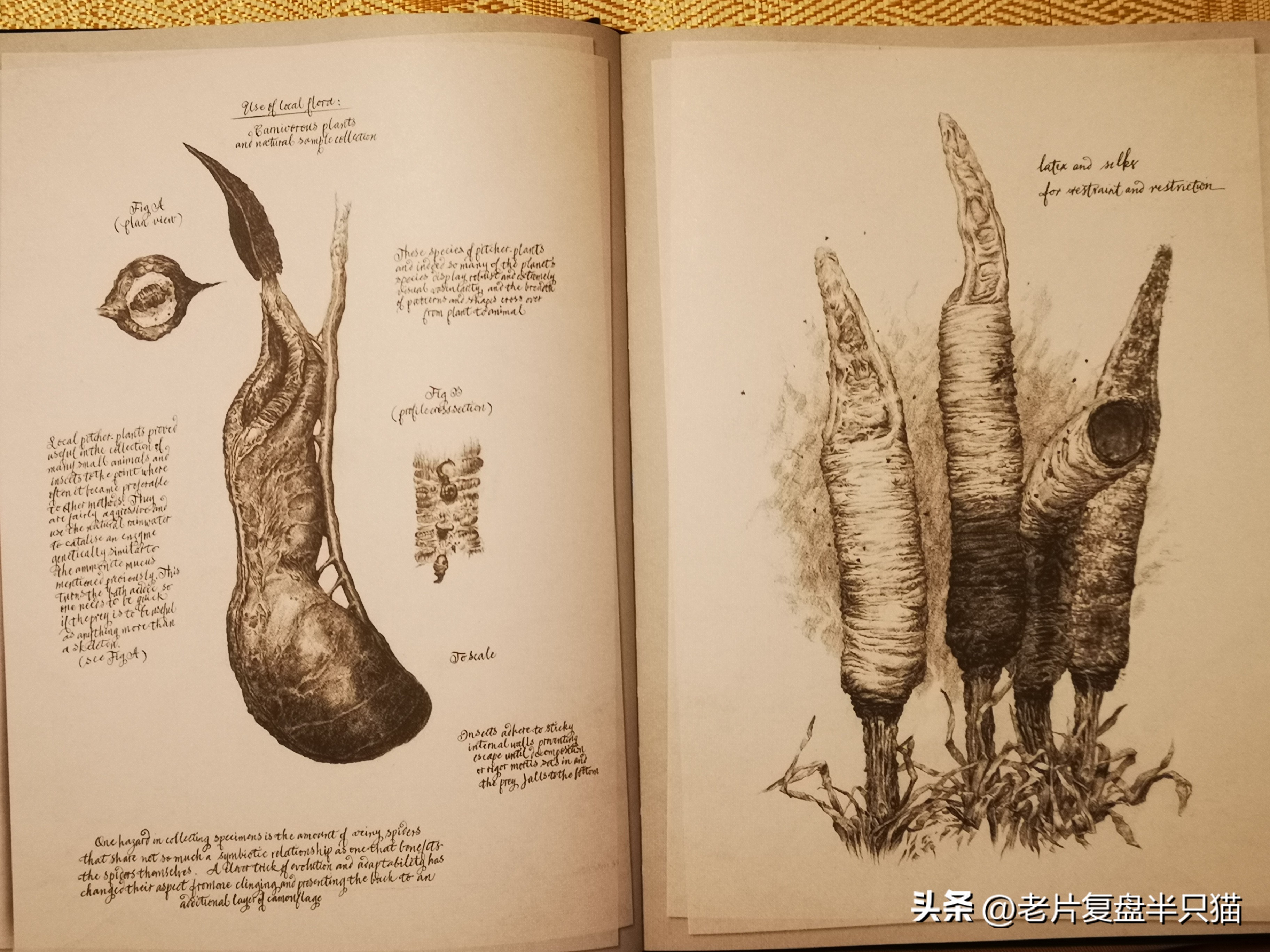 仿生人大卫的秘密,仿生机器人大卫