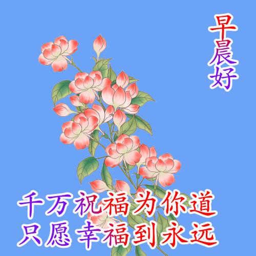 早安愉快带字动态图片,最好看的早安动态图片大全