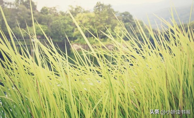 一年四季景色的古诗词,关于风雨雪雨的古诗
