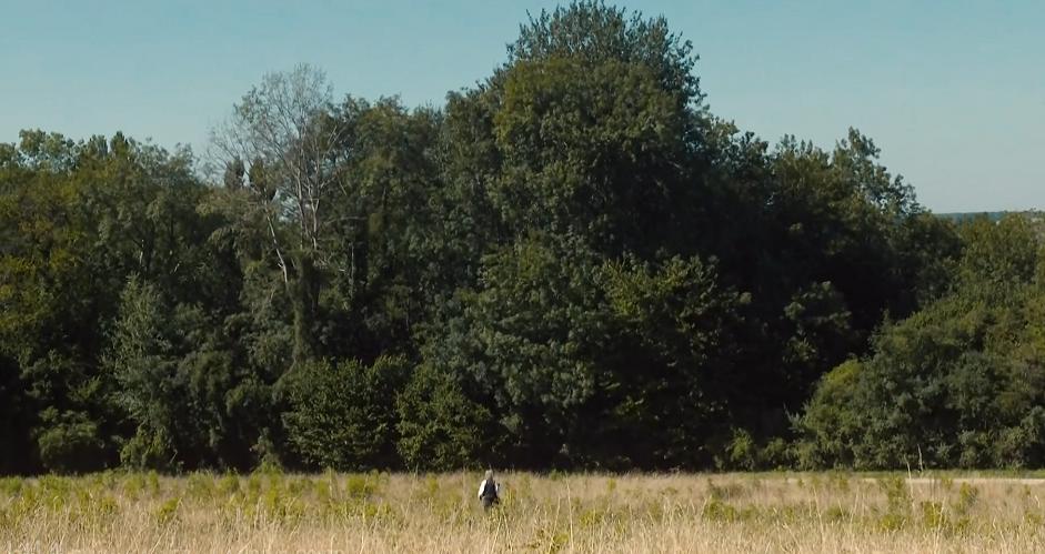 人应该怎样生活才更有意思,生活应该有的样子