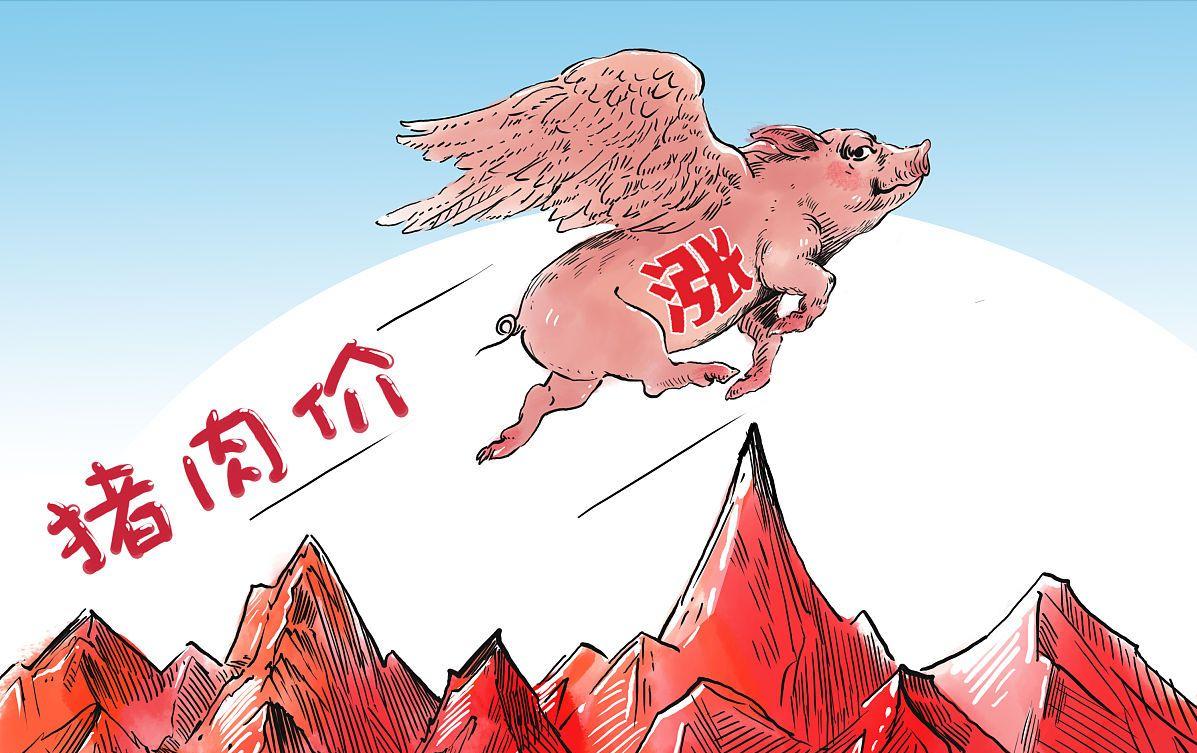 猪价6连涨预示什么,六连板放量上涨