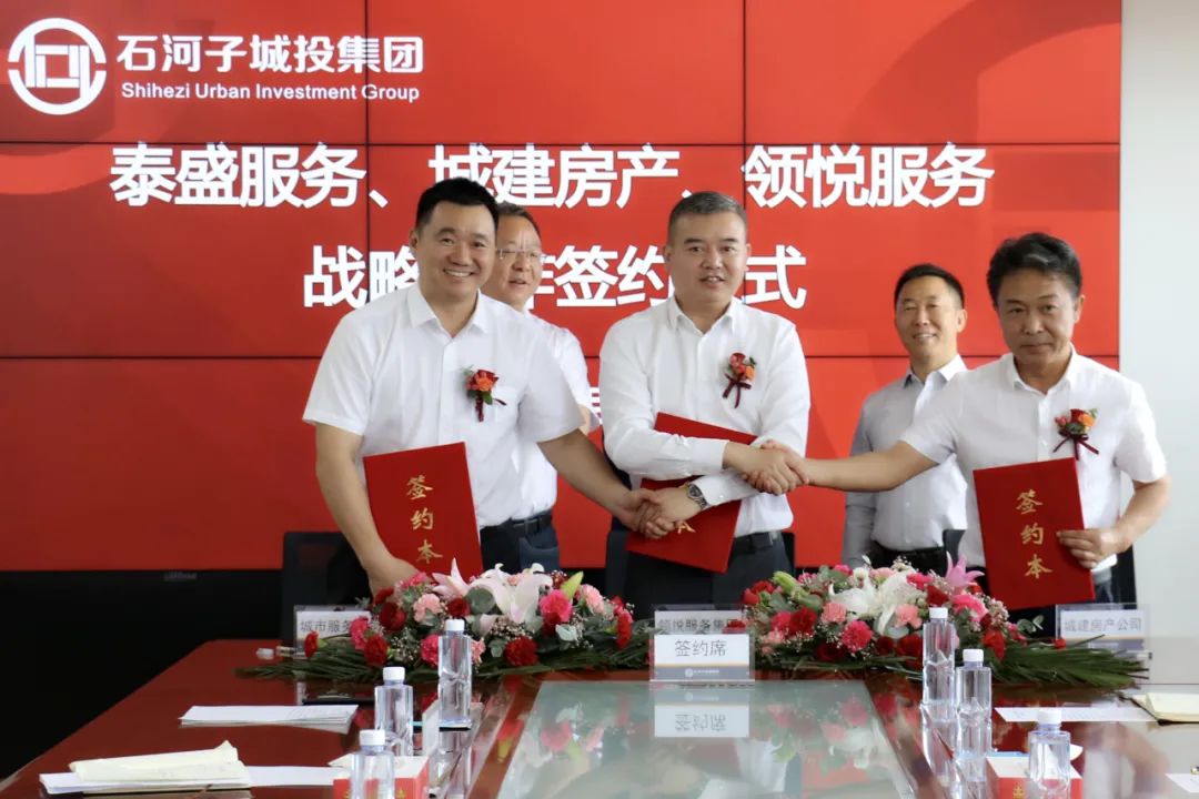 石河子市城投集团文旅投资公司,石河子城投集团公司图片