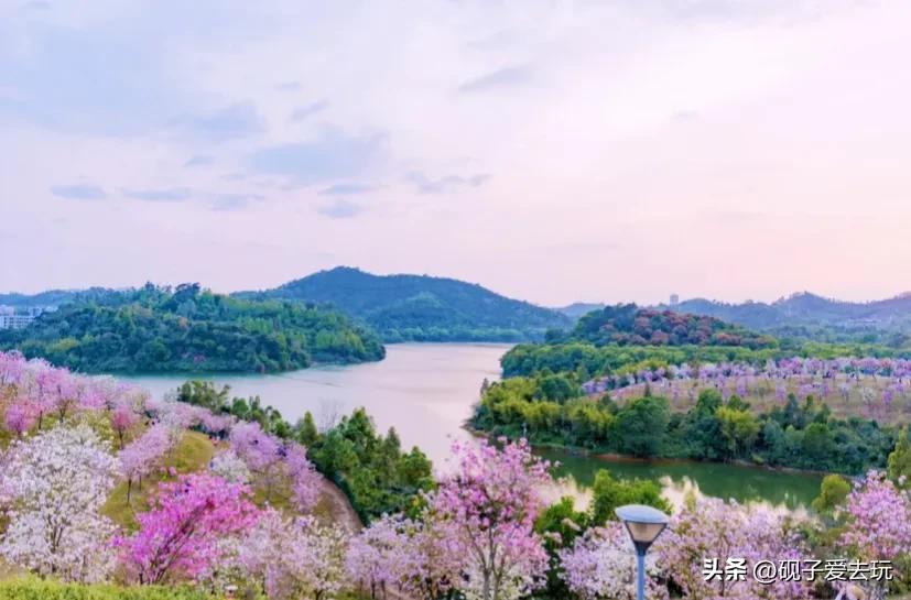 龙岗区沿路景点介绍,深圳龙岗区室内游玩攻略景点大全