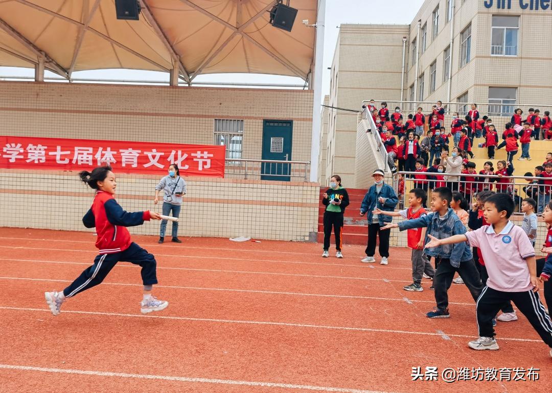 最新新闻周播报,新闻周播报完整版