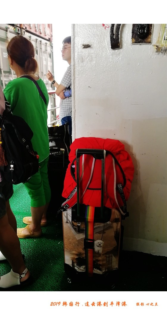 韩国行中国行,韩国行旅行团