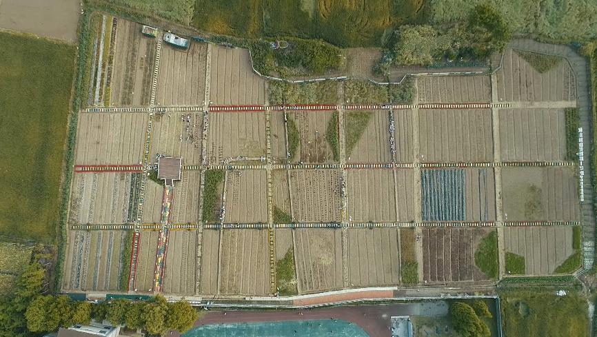 劳动实践教育基地体验劳动的快乐,一小劳动实践基地