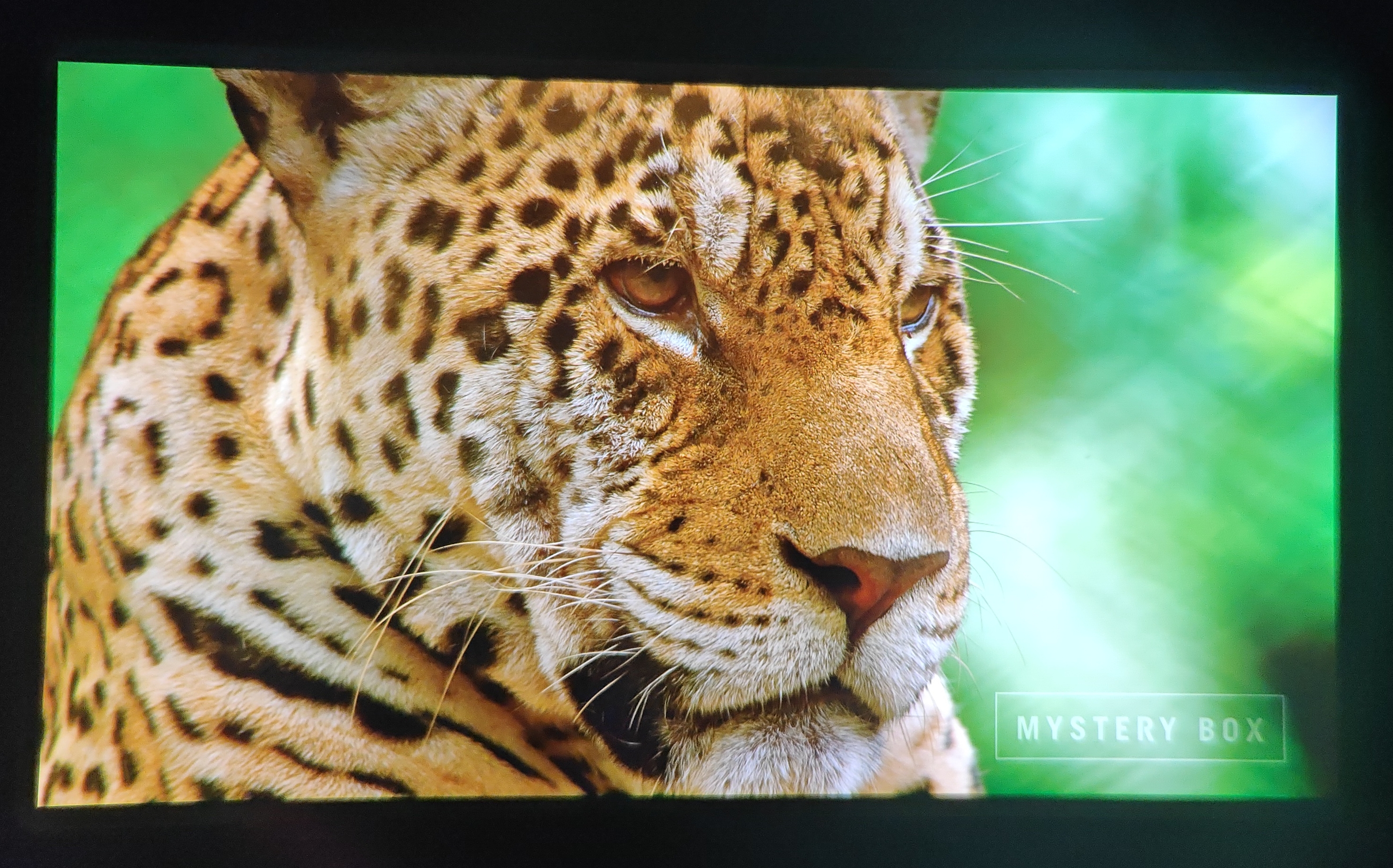 IMAX观影体验更胜VR，裸眼3D巨幕—GOOVISG3Max影院级高清头显