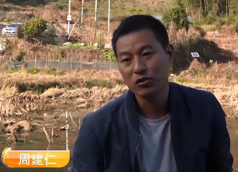 小伙创业一亩田养鱼能挣多少钱,年赚600万的稻田养鱼