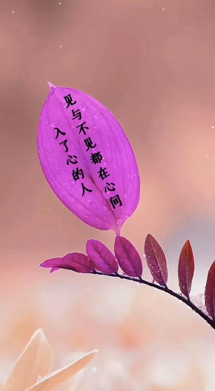 表白文案高级有深度20个字,表白的高级文案英文