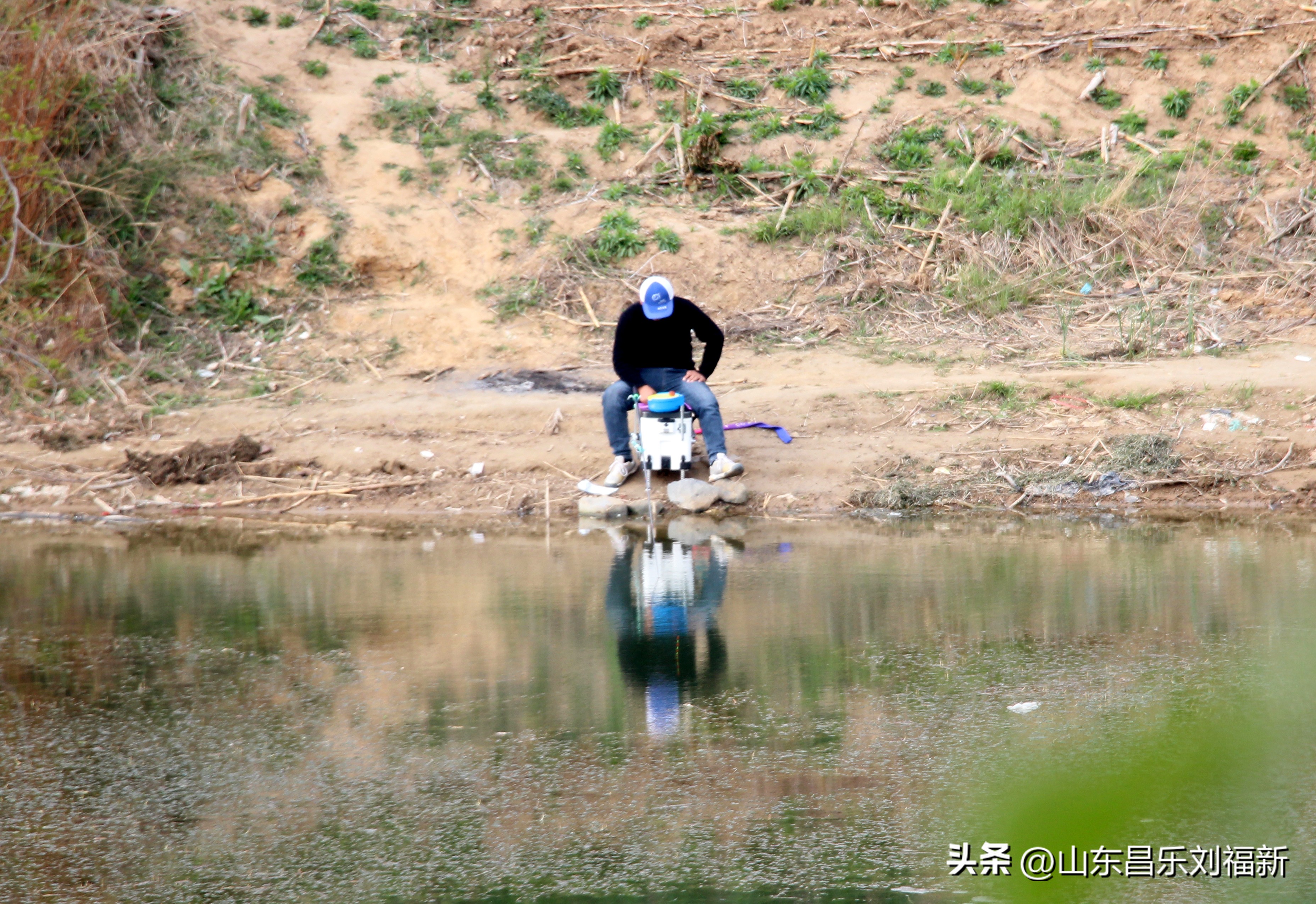 洋槐花·万马奔腾电器·鄌郚医院贴膏药