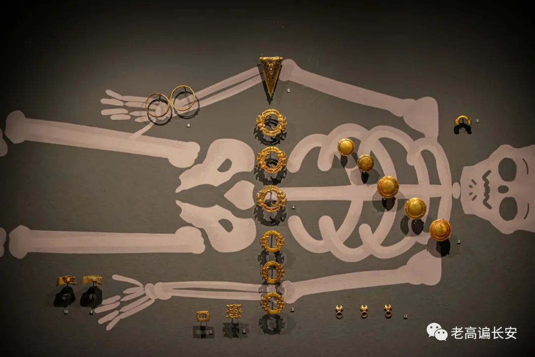 假期参观陕西考古博物馆,陕西考古博物馆开馆直播