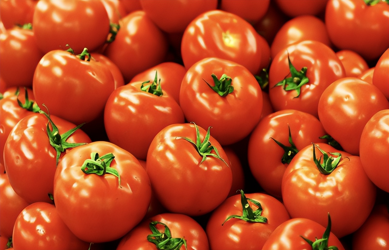 阿塔卡马沙漠的位置图,阿塔卡玛沙漠有什么植物