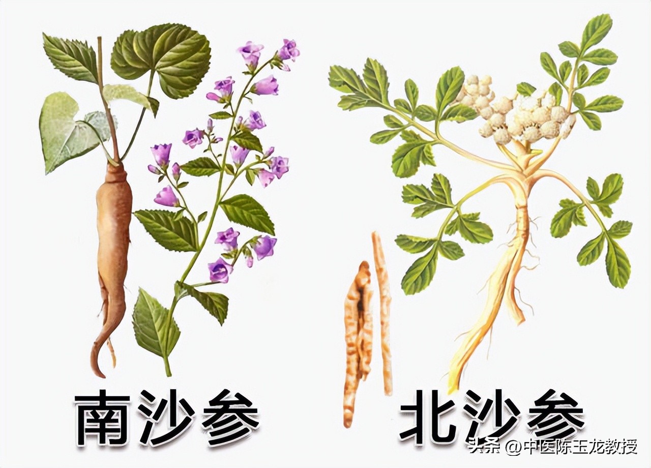 干咳润肺止咳汤,阳过后无痰干咳煲什么汤止咳