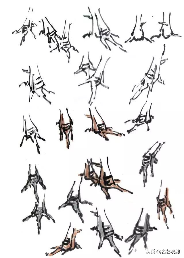 十二生肖鸡画法步骤,鸡的画法简笔画步骤