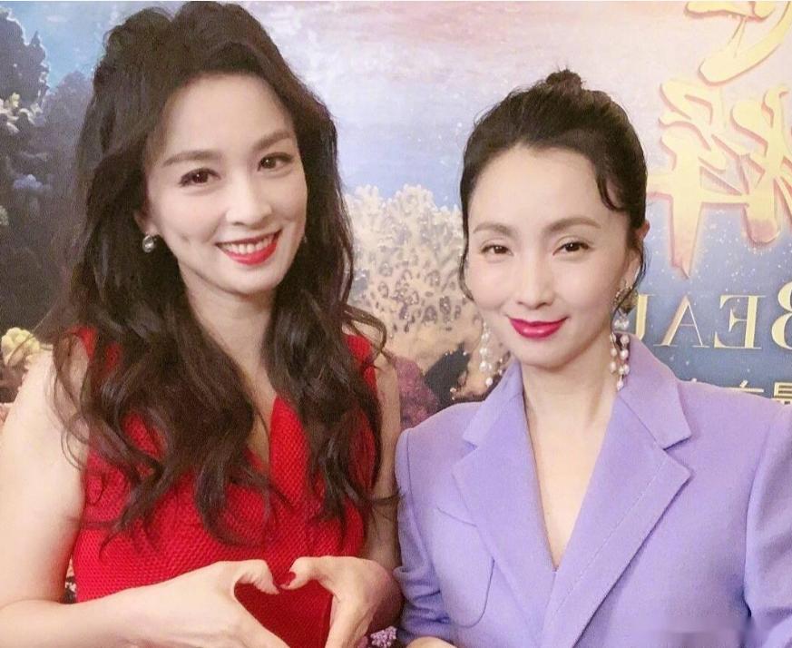 陶虹张庭林瑞阳同台照片,张庭事件陶虹能退出关系吗