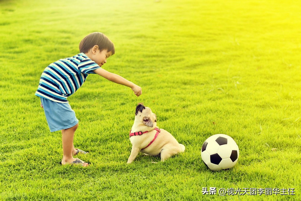 扔沙包锻炼眼睛,丢沙包对眼睛有好处吗