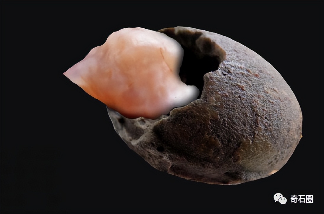 “带窝窝的石头”入围作品展播