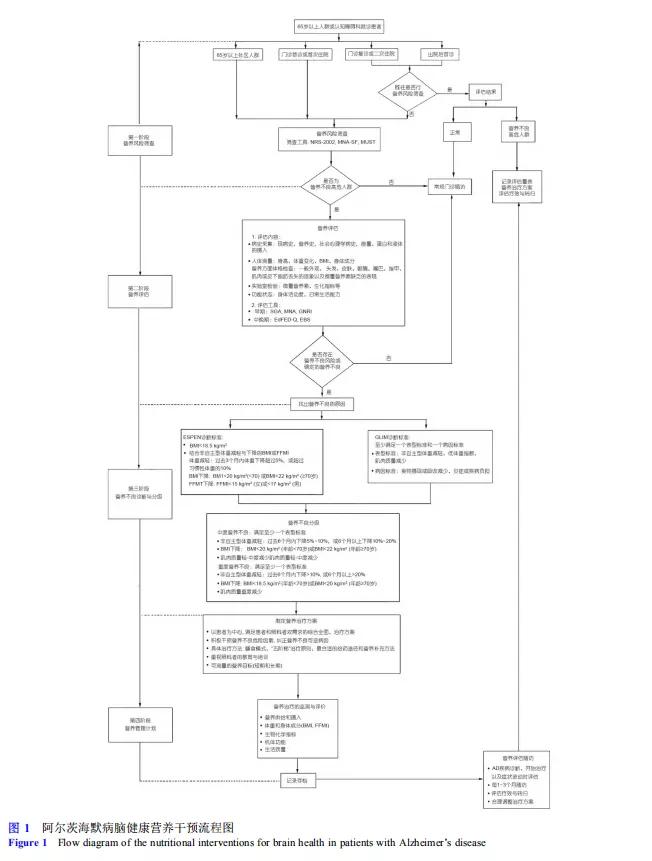 科普阿尔茨海默病的医学营养治疗,阿尔茨海默病脑健康营养干预