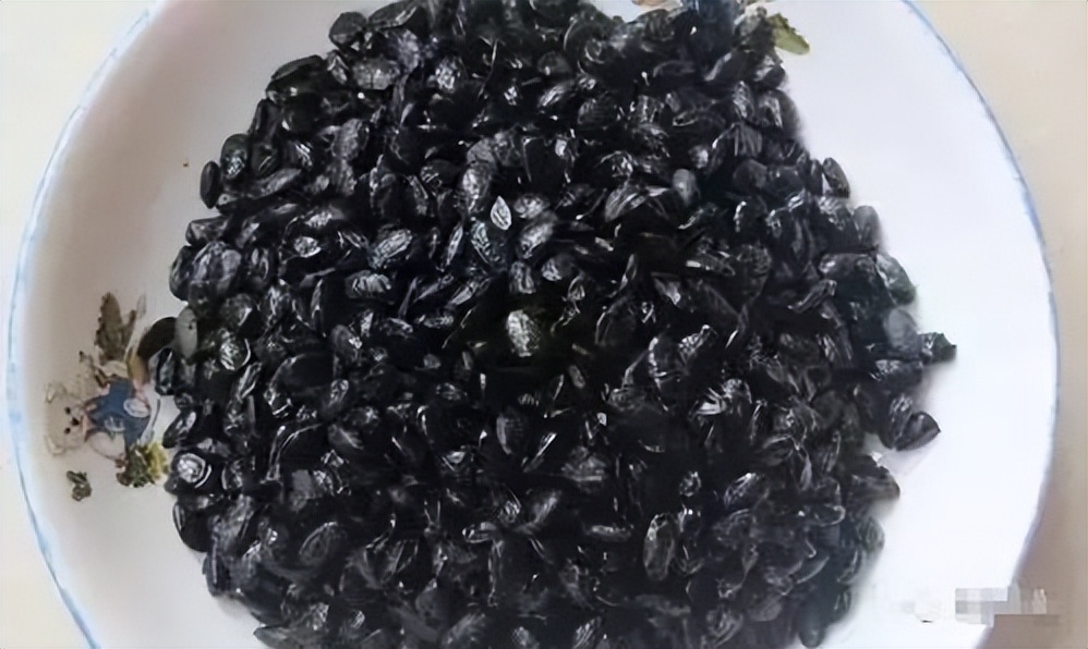 长寿豆粒,长寿豆防痴呆