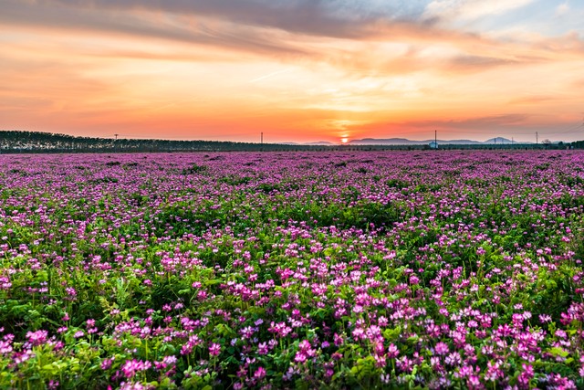 小姨微小说,小姨4