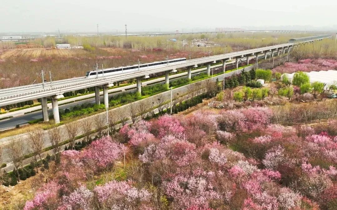 2019年中国地铁营收,北京地铁年营收多少亿