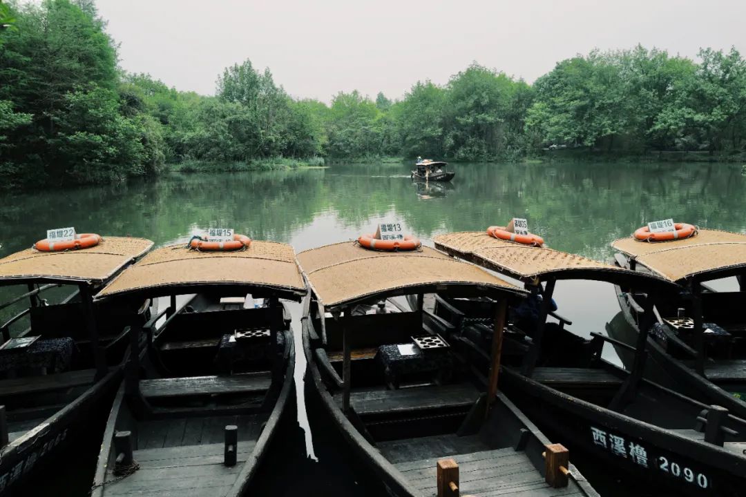 春天的潺潺溪水,春天的顶流