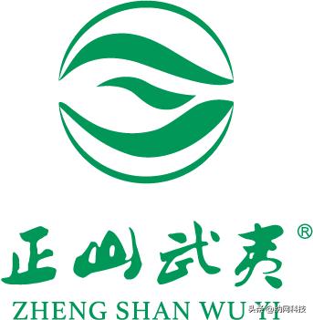 正山武夷注册“.购物”域名，创造品牌价值！