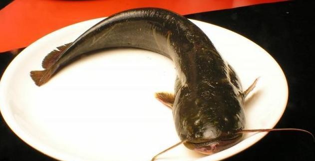 最常见的50种食用鱼吃法和价格,十种常用食用鱼类介绍