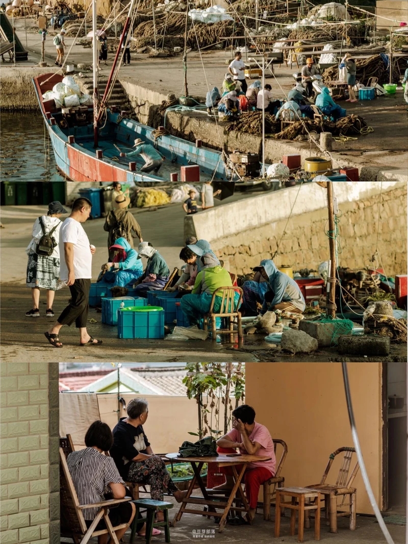 鏉窞鍛ㄨ竟娴峰矝娓告灨鏉炲矝,鏋告潪宀涙捣宀涙父