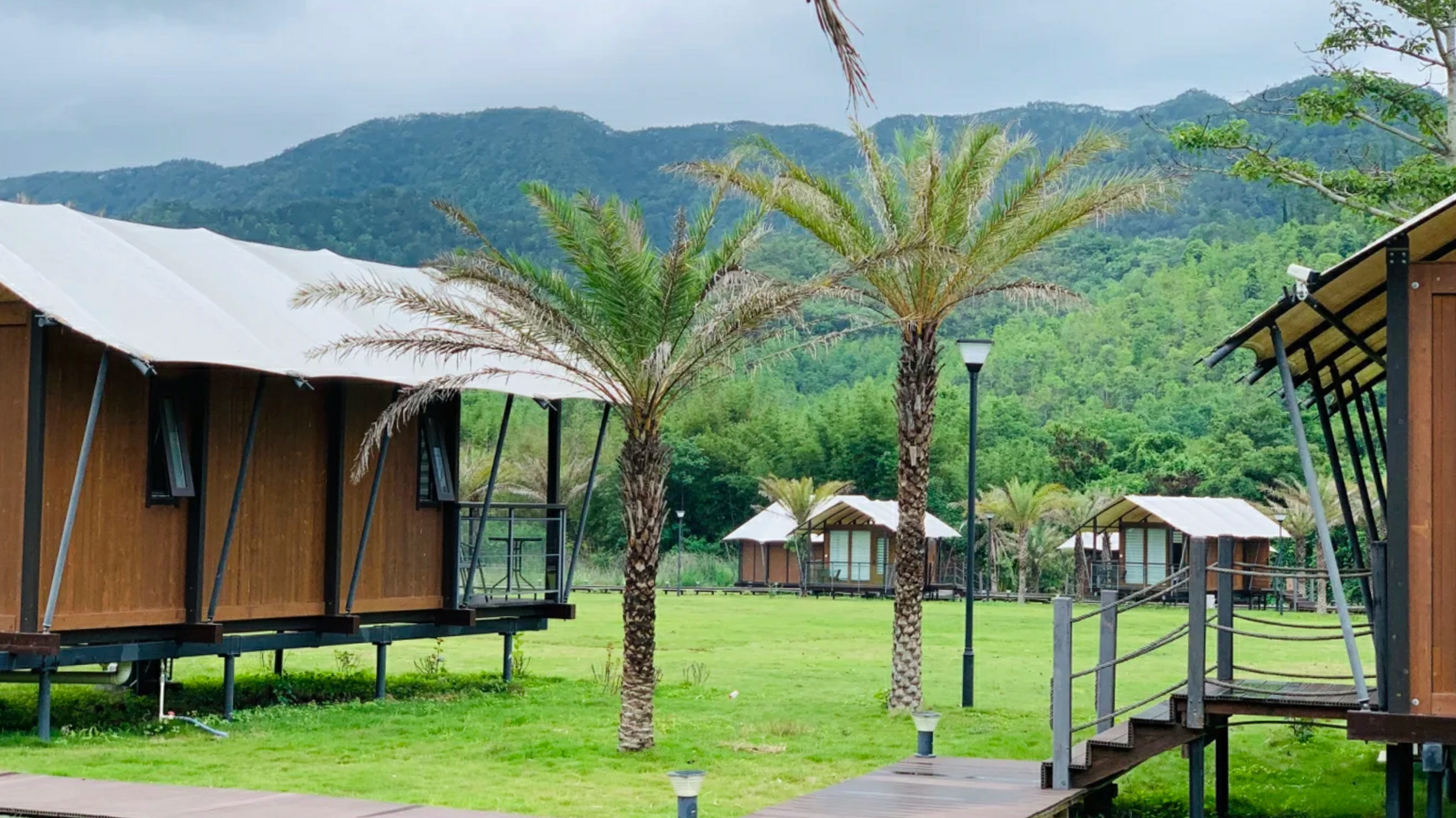 惠州赏梅花地方,惠州惠东梁化镇梅园