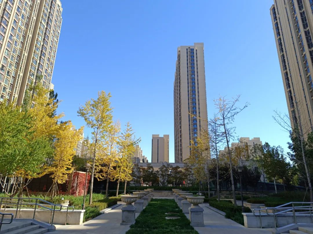 redminote11拍照效果,2亿级普通像素与5000万相机