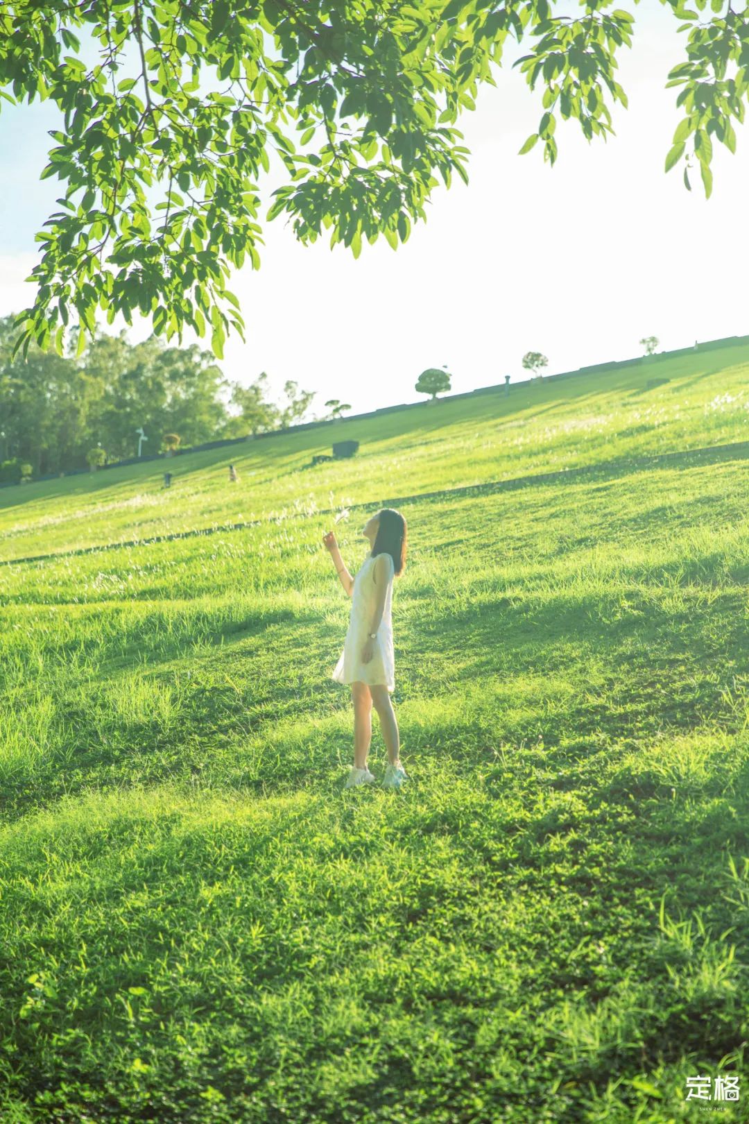 福田必去十大网红景点,福田哪里最值得去玩