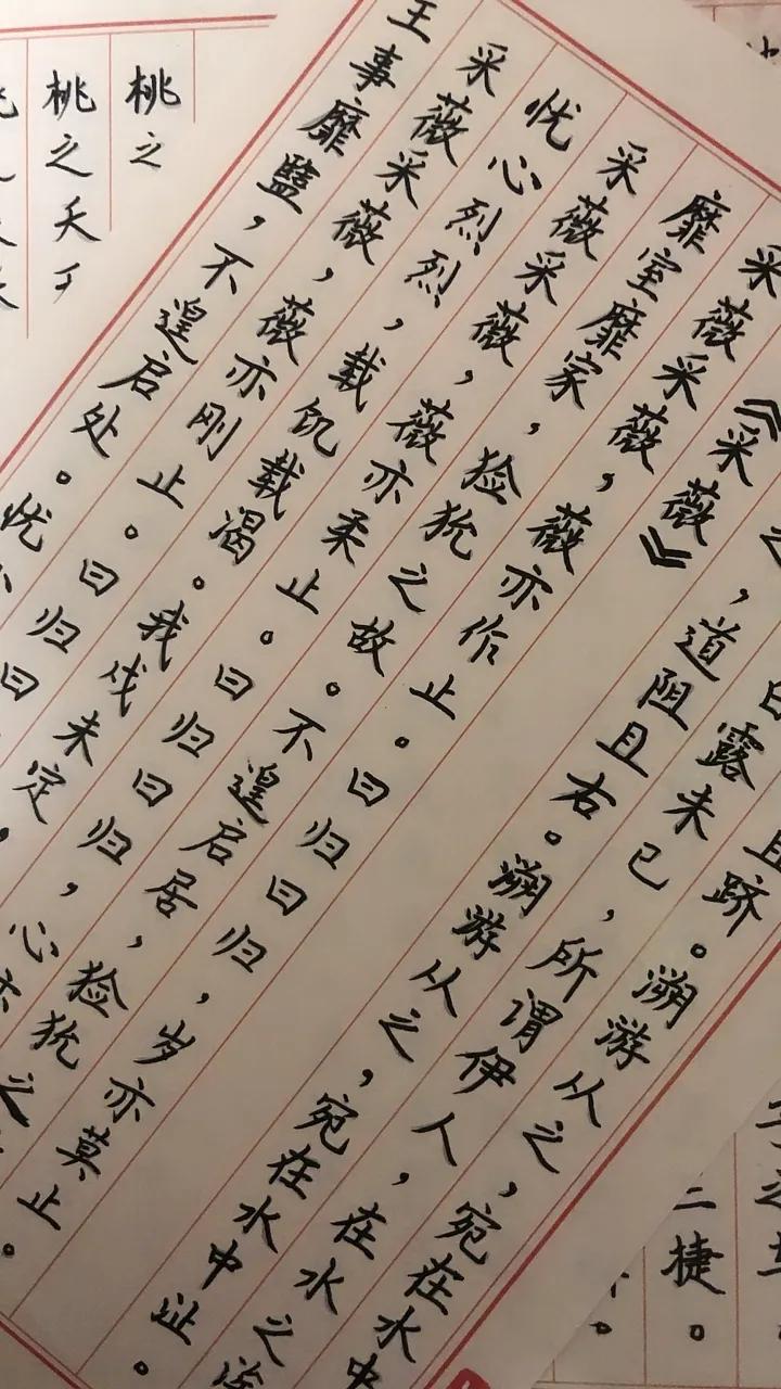 考教资一次上岸是什么体验,四川省考哪些好上岸