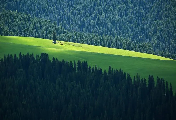 鐙簱鍏矾鐜枂鍗楀寳,鐙簱鍏矾淇￠┈娓哥枂