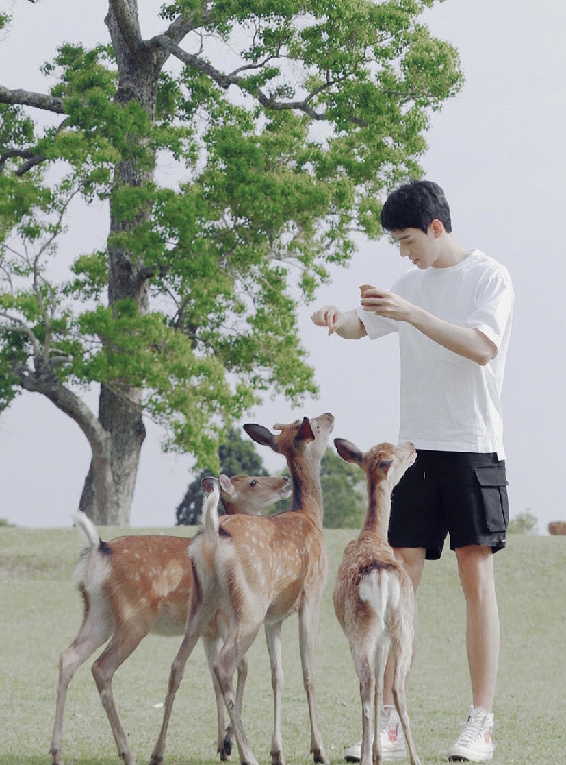 每日穿搭男生短裤,夏季短裤穿搭科普男