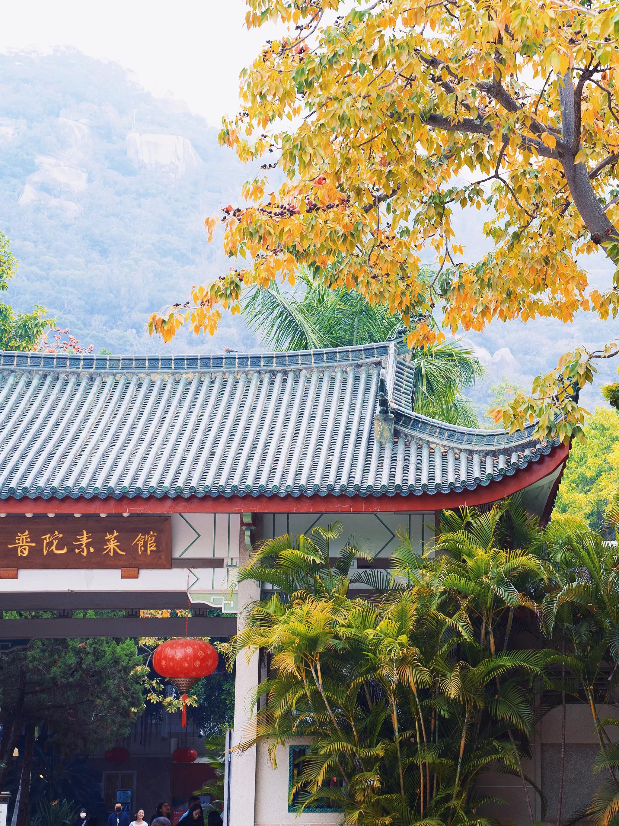 厦门怎么玩避坑,厦门踩雷攻略