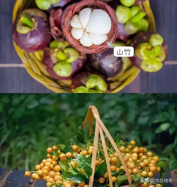 海南的蔬菜水果为什么贵,海南省哪个市的水果最便宜