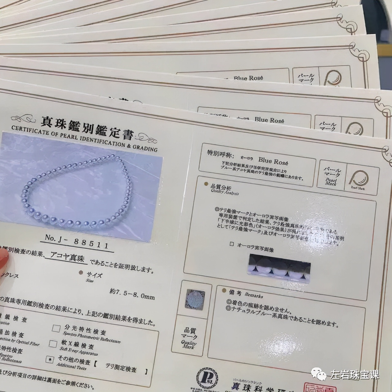 左岩珠宝课,左岩珠宝课腾讯