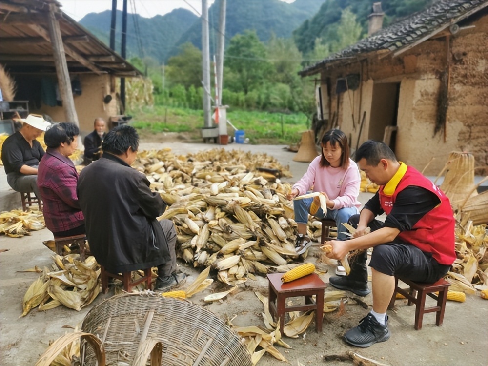 国网凤县供电公司：麝过青山草木香——国网凤县公司驻留凤关镇沙江寺村工作队乡村振兴工作手记
